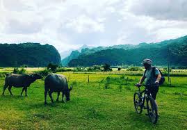 Phong Nha Bike & Boat Tour 1 Day